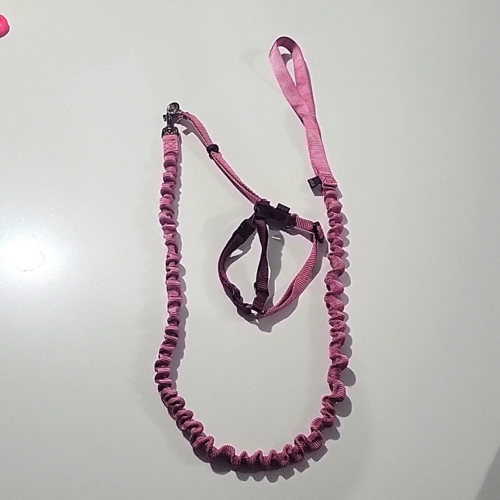 PetSafe Come With Me Kitty Nylon Cat Harness & Bungee Leash Sz M